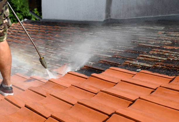 Roof Power Washing Services in Wernersville, PA